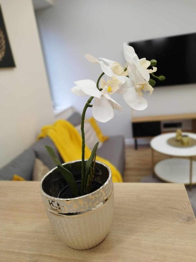 Apartament Przy Filharmonii I Kck Kielce